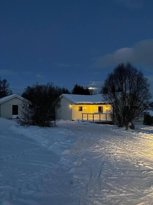 Ivar And Sofies House ترومسو المظهر الخارجي الصورة